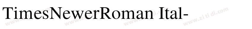 TimesNewerRoman Ital字体转换